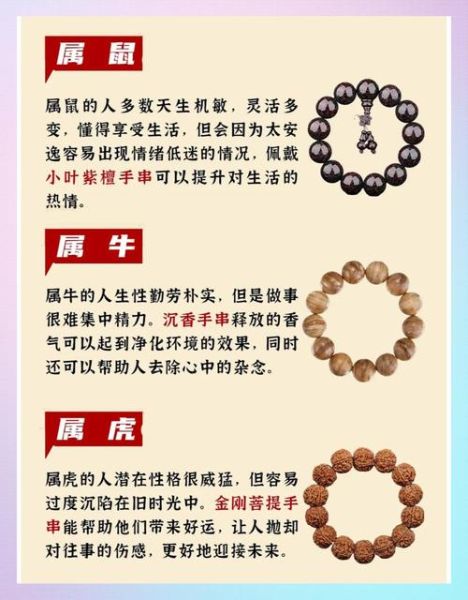 生肖属相裤带(生肖属相裤带怎么选?新手避坑指南)