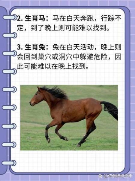 虚伪的属相是什么生肖（虚伪的属相是什么生肖？）