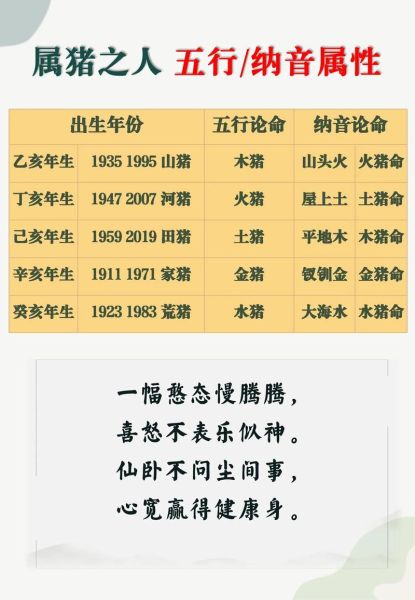 生肖属相为亥猪（生肖猪亥猪属相是什么命👑）