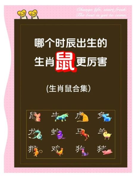 生肖鼠是什么属相（生肖鼠是哪一年出生的）