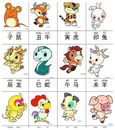 十三属相什么生肖