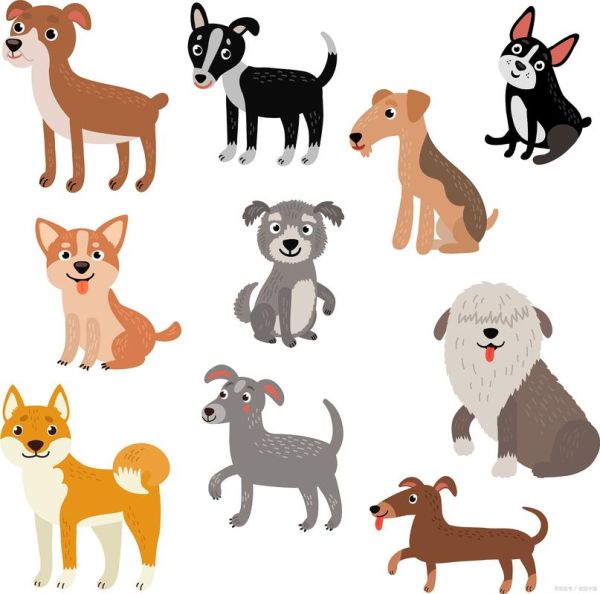 生肖网属相最相配(生肖狗和什么属相最相配)