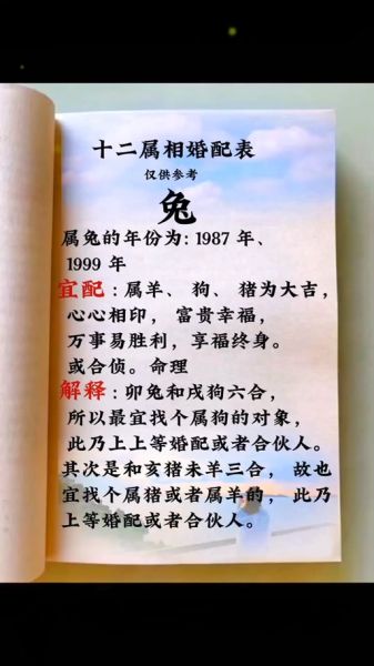 生肖兔夫妻属相(生肖兔夫妻属相最佳婚配生肖)