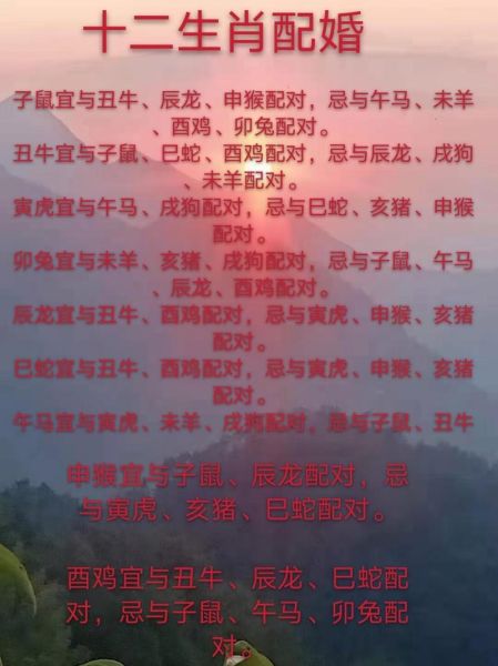 12生肖最佳婚配属相是（12生肖最佳婚配属相查询指南）