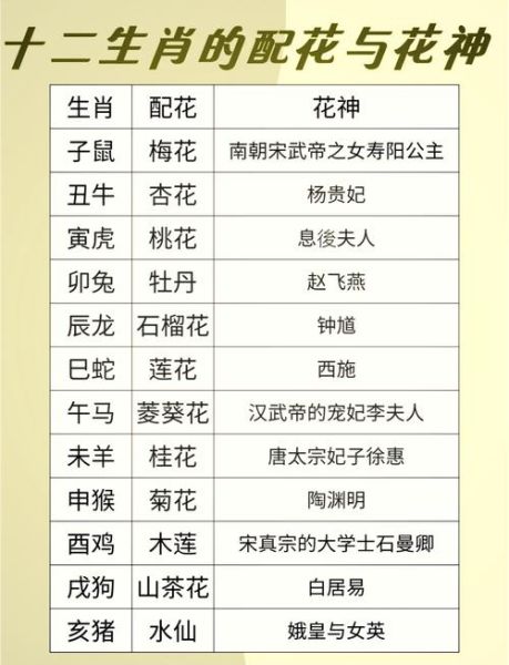 生肖属相和花(属相对应的开运花有哪些)