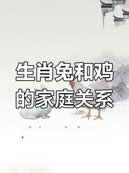鸡兔生肖相克的属相(鸡兔相克最忌配什么生肖)