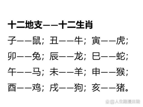 生肖属相所属地支(生肖属相所属地支对照表)