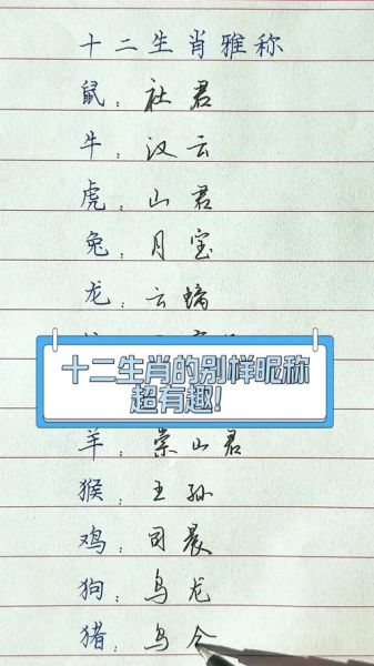 生肖属相网名大全（2024十二生肖微信网名大全）