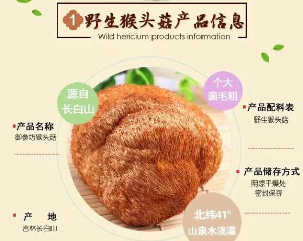 老蘑菇解说生肖属相（老蘑菇生肖属相解说靠谱吗）