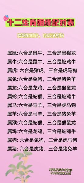 生肖情感属相是什么