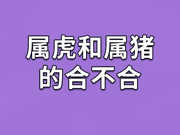 属相虎和什么生肖不合(属虎的和什么属相不合)