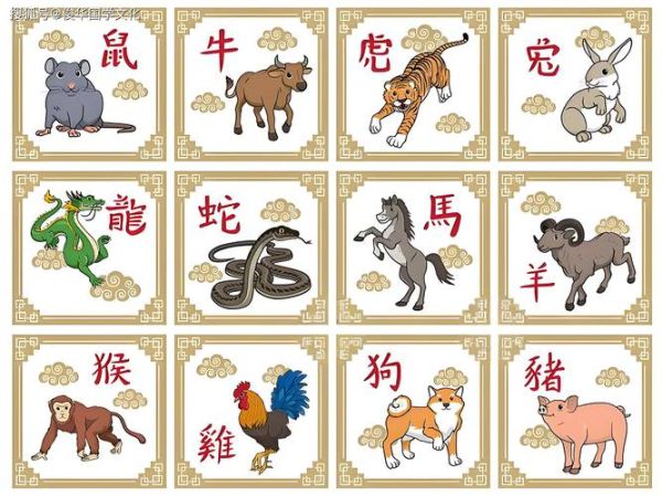 申子属于哪个生肖属相(申子是什么生肖?小白秒懂)