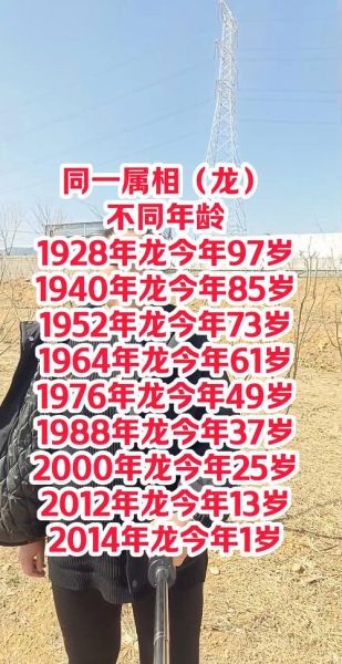 生肖龙与生肖龙属相合吗（生肖龙与生肖龙合不合？）