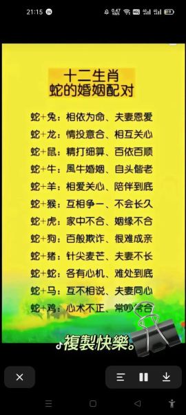 生肖属相不合分手(生肖属相不合分手真的不能挽回吗)