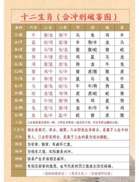 鸡兔生肖不符合属相(鸡兔相冲生肖配对可信吗)