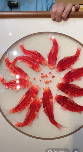 鱼代表什么生肖属相（鱼代表什么生肖）