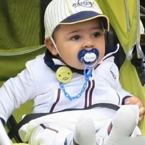 迷你罗生肖属相（迷你罗属啥生肖？新手一看就懂）