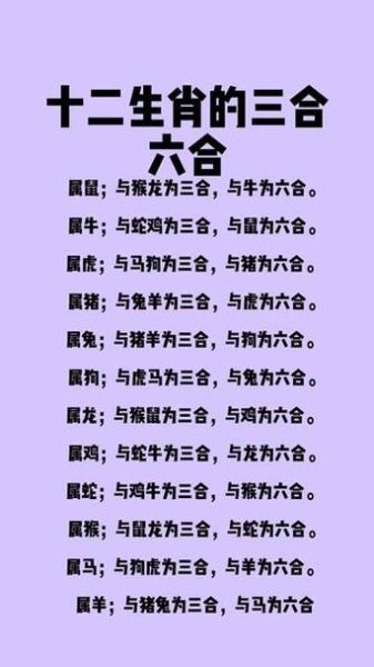 生肖属相运势蛇和狗(生肖蛇与狗合不合速查表)