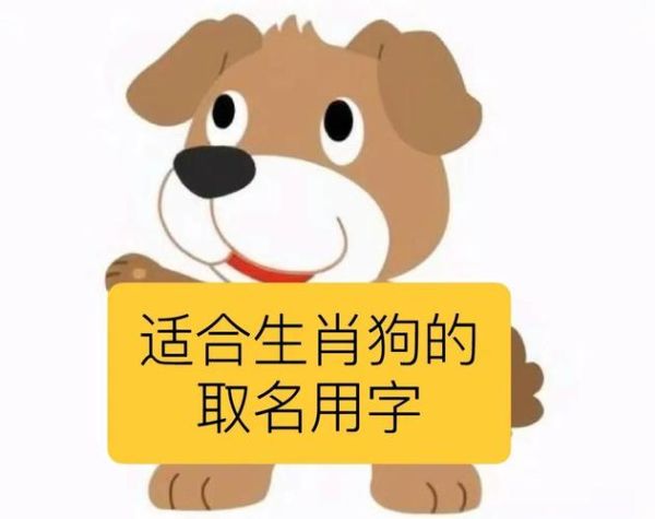生肖狗的孩子属相(生肖狗的孩子运势如何)