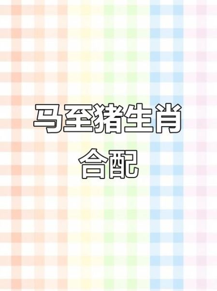 猪马配对生肖属相（猪马配对生肖属相好吗）