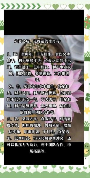 立夏生肖属相(立夏当天属什么生肖查询办法)