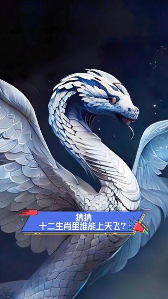 飞代表什么生肖属相（飞是什么生肖最旺的属相）