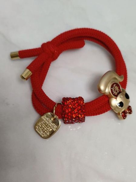 生肖属相发夹（生肖发夹女生本命年礼物怎么选）