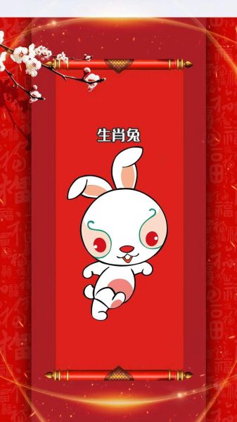 生肖兔的属相是什么