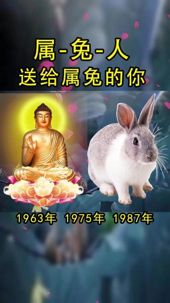 生肖兔讨厌的属相(生肖兔最忌讳和谁搭档?🐰⚡)