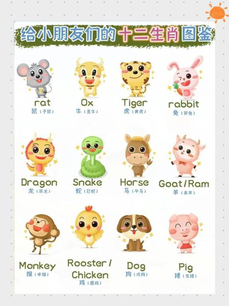 老外生肖属相(老外属什么生肖?在线速查表)