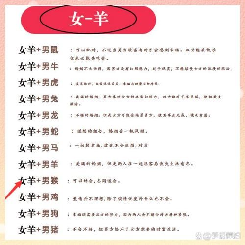 生肖属和哪个属相好（属羊和什么属相最配婚姻最长久）