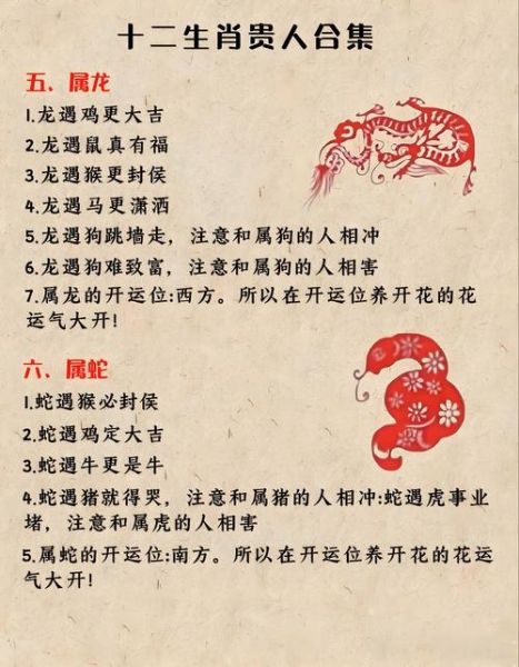 贵妃属什么生肖属相呢