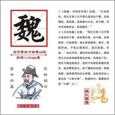 魏氏生肖属相（魏氏生肖属相怎么查 小白入门指南）