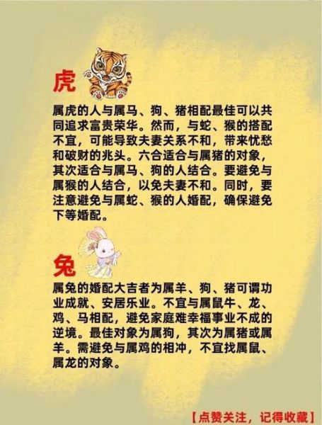 生肖跟哪个属相合财运(属鼠和什么属相最合财?)