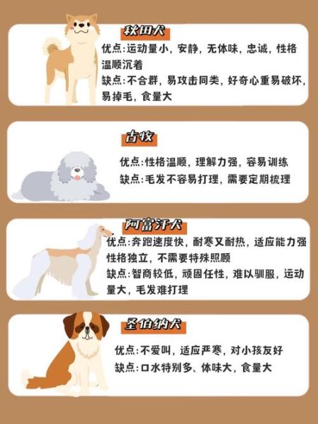 生肖狗的属相特点(属狗的人性格缺点和弱点有哪些?)