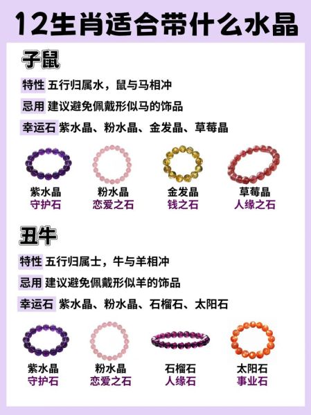 阿紫的属相是什么生肖（阿紫属什么生肖？新手一看就懂）