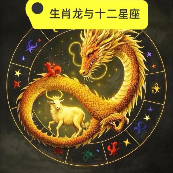 生肖龙的最佳爱人属相（属龙最配的属相是谁？）
