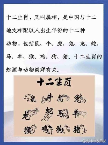 每个生肖都有什么属相(新手速查:12生肖分别是什么属相)
