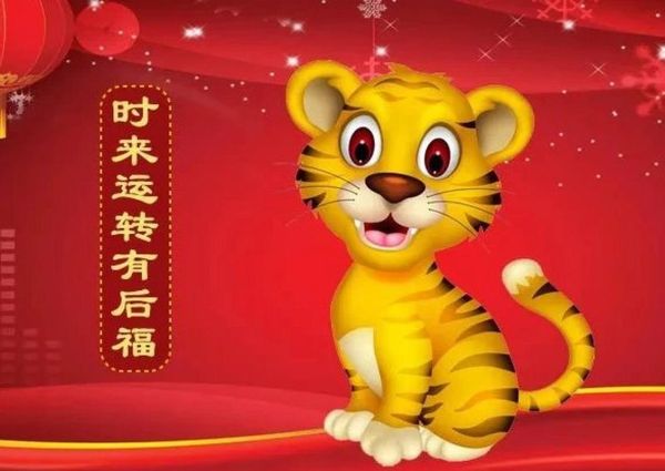 生肖虎最亲近的属相（生肖虎最合的3大生肖谁最贴？）