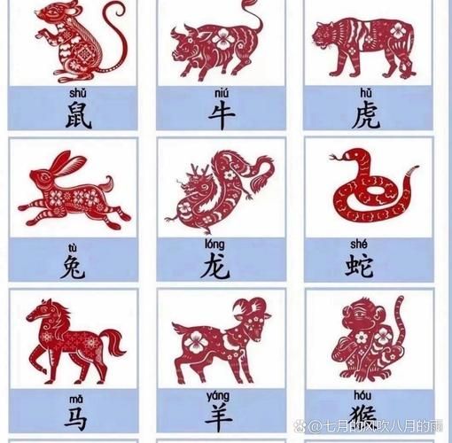 329年属什么生肖属相(329年属什么生肖属相🐭)