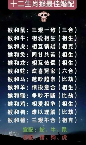 相合的生肖属相(相合的生肖属相查询配对表)