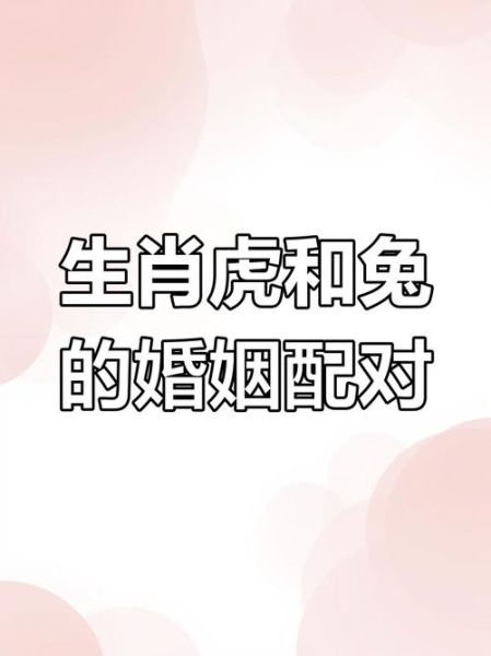 生肖兔前后属相（生肖兔前后属相：兔前虎后龙）