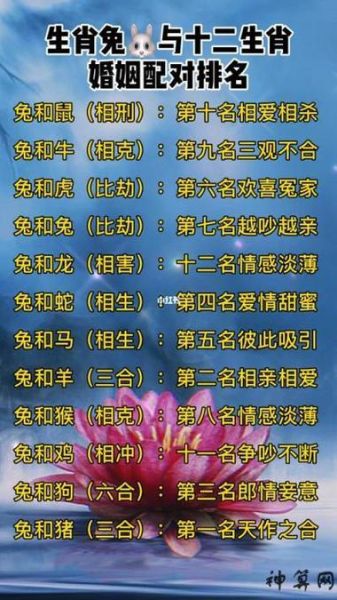 生肖兔子适合属相（生肖兔子适合配什么属相）