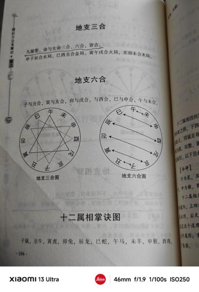 生肖虎跟哪个属相合（生肖虎跟哪个属相合？新手必读三合六合指南）