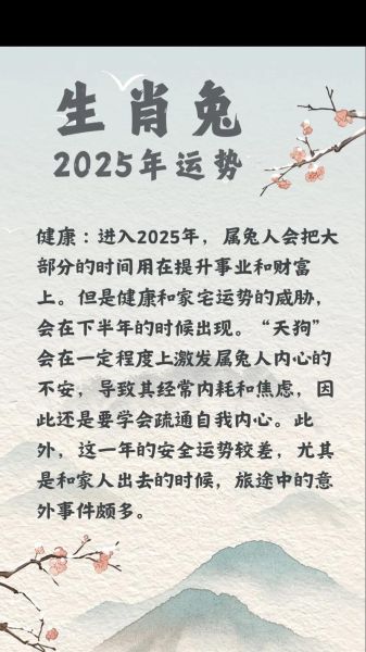 生肖属相兔(生肖兔2025全年运程详解)