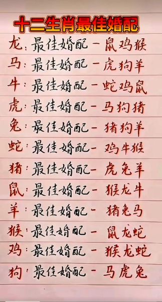 生肖跟什么属相最配（生肖鼠最佳配对属相是什么）