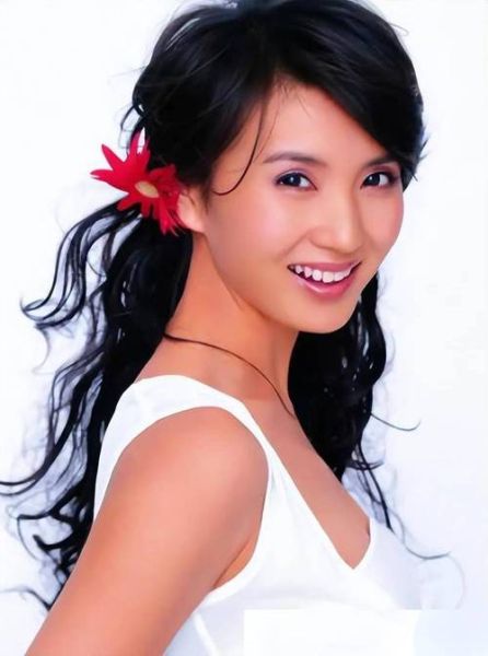 陈好星座生肖属什么属相(陈好星座生肖属什么?新手一看就懂🤓)