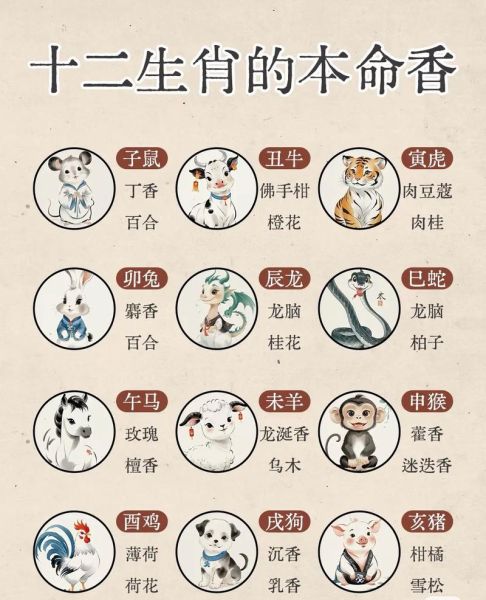 生肖属相从立春算起(生肖属相到底从哪天开始算)