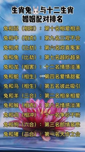 生肖兔婚姻属相（生肖兔婚姻属相最佳配对）