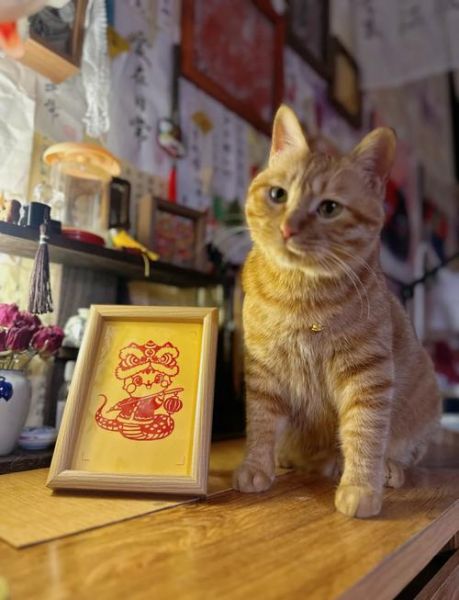 生肖属相摆台怎么摆（生肖属相摆台怎么摆才旺？新手全图解）